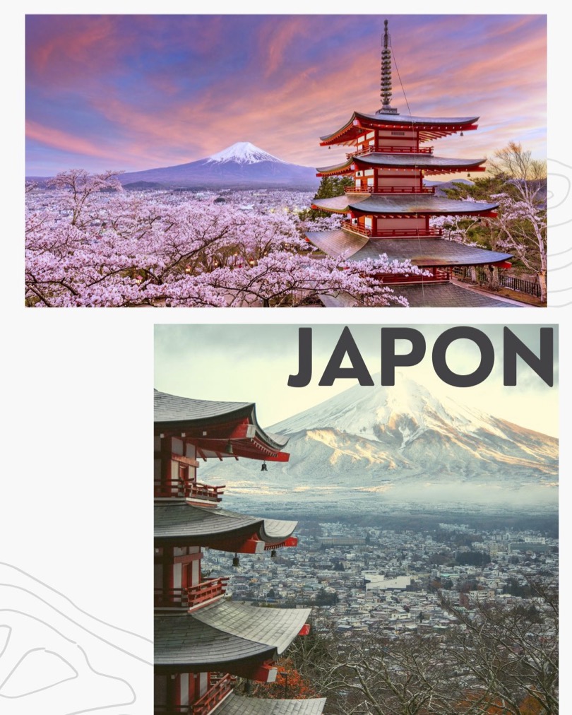 Equipo de Viajes en Oferta en oficina